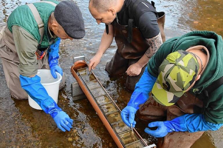 Fischgröße nach einem Monat